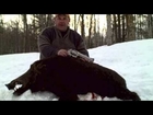 Russian Boar - Big John