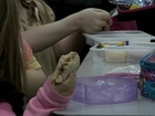 Policies prevent kids from having lunch