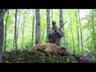 Mountain Ram Shot by Michigan Hunter