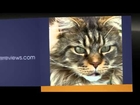 Pet Care-Pet Care Videos And Tips-VIP Pet Care