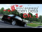 Simraceway Open Beta Ch. 1 - Website and shop prices