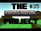 The Pocket Edition Project #35: Tree Farm Complete + Flowers Galore!