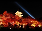 ［HD］Autumn colors in Kyoto 秋の京都の紅葉　嵐山などの名所と清水寺のライトアップ 紅葉便り 日本の紅葉