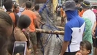 Dead whale shark found off Philippines coast