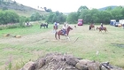 Rencontres Equestres Fay sur Lignon 2013 (part.1)