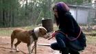 'Pit Bulls and Parolees': When Tania Led the Rescue
