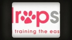 Control Your Pet With Hands On Dog Training in Brisbane | 1300 306 887