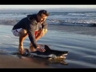 Caught on Tape: Man rescues shark at Aptos Beach