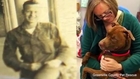 Stray Dog Found With Mysterious Old Photo Tucked Under Collar